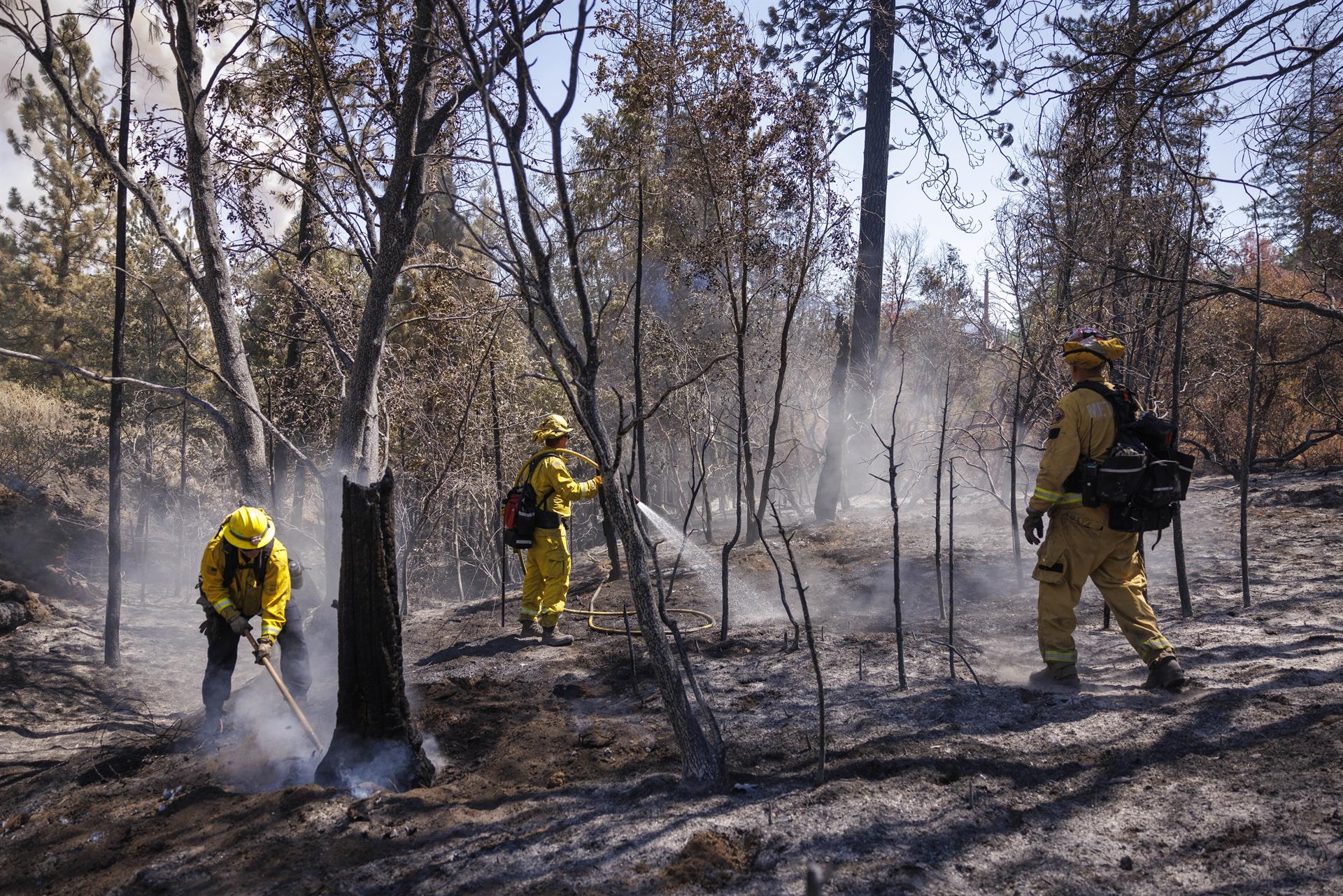 Containment of the fire near Yosemite Park advances