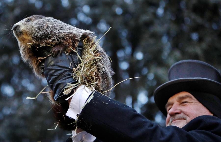 Spring is coming early, Phill the groundhog announces