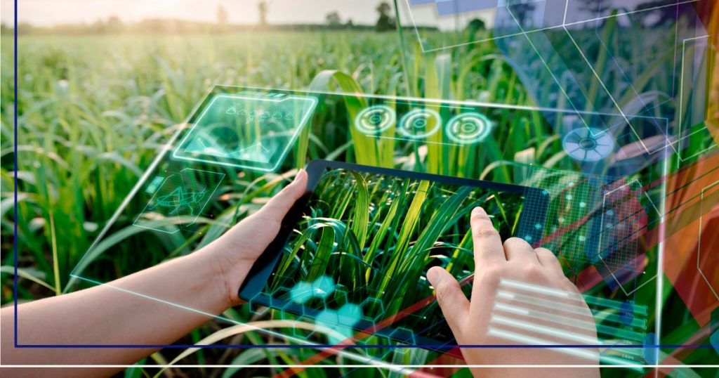 Artificial Intelligence could reveal the healing potential of plants