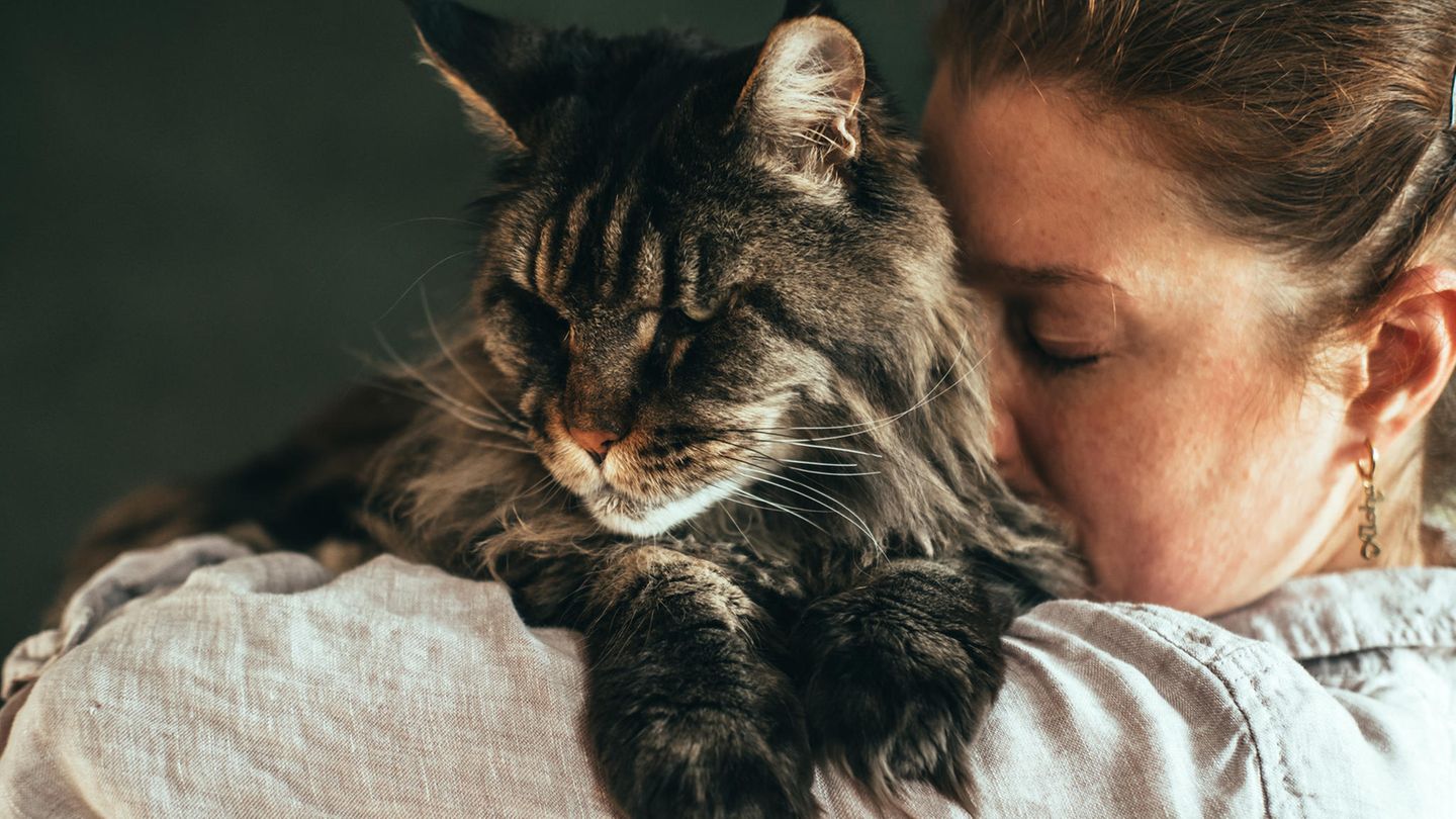 Eine Frau umarmt eine Katze