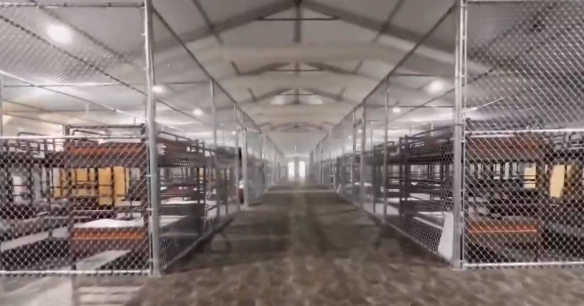 Appeals Court allows continuity of operations in "Aligator Alcatraz"