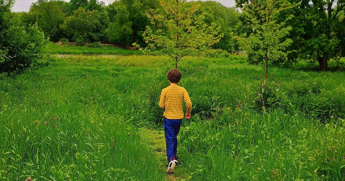 A genetic study reveals that there are different forms of autism, not only different degrees of the disorder