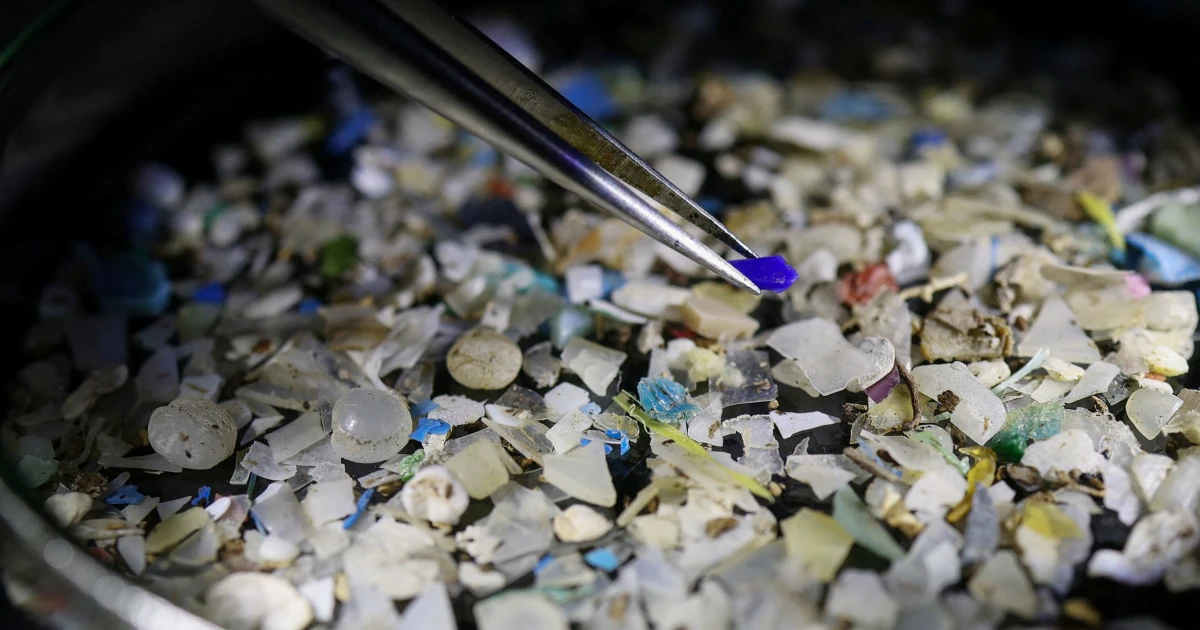 Scientists find microplastics in prostate tumors in new study