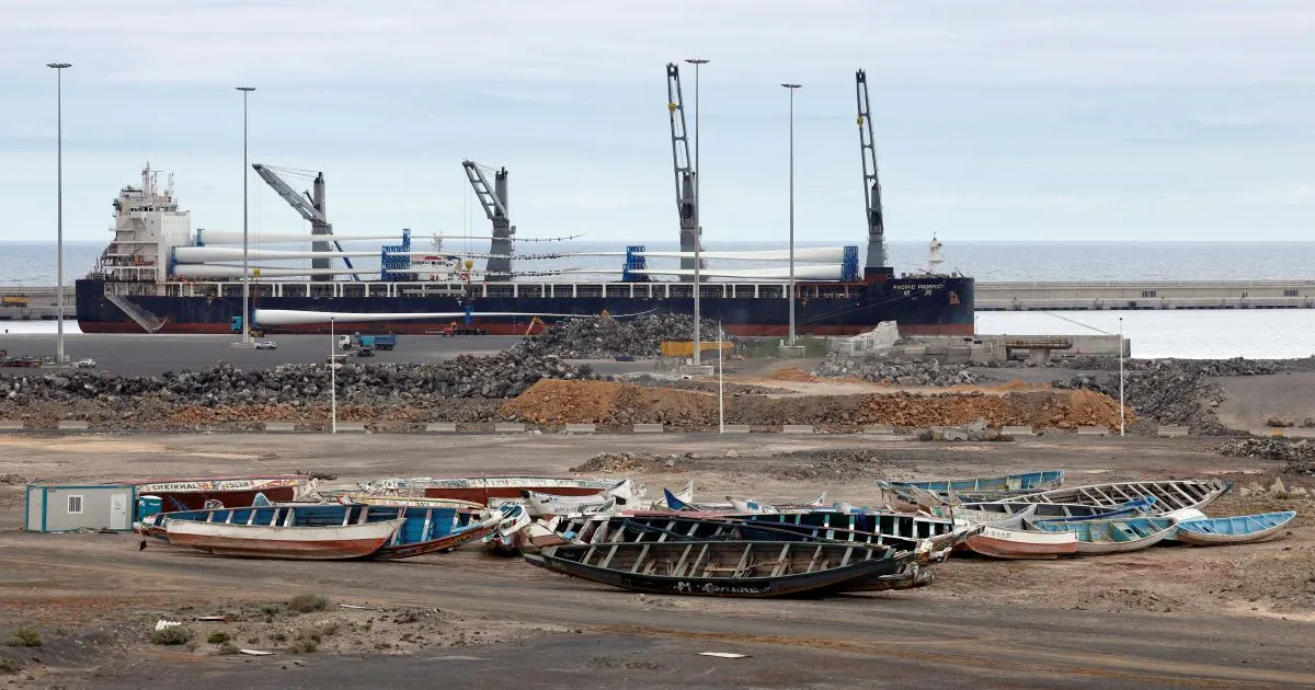 The WHO recognizes that the hantavirus strain recorded on the cruise ship "is serious"