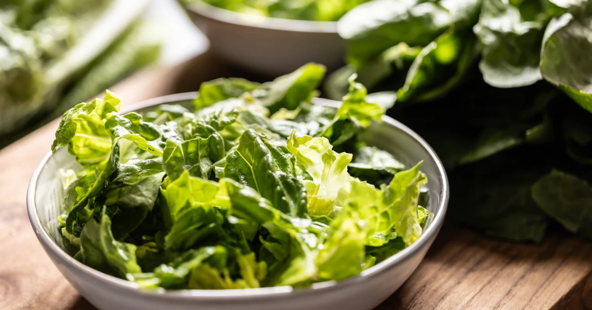 Why leafy green vegetables are often a source of infectious outbreaks