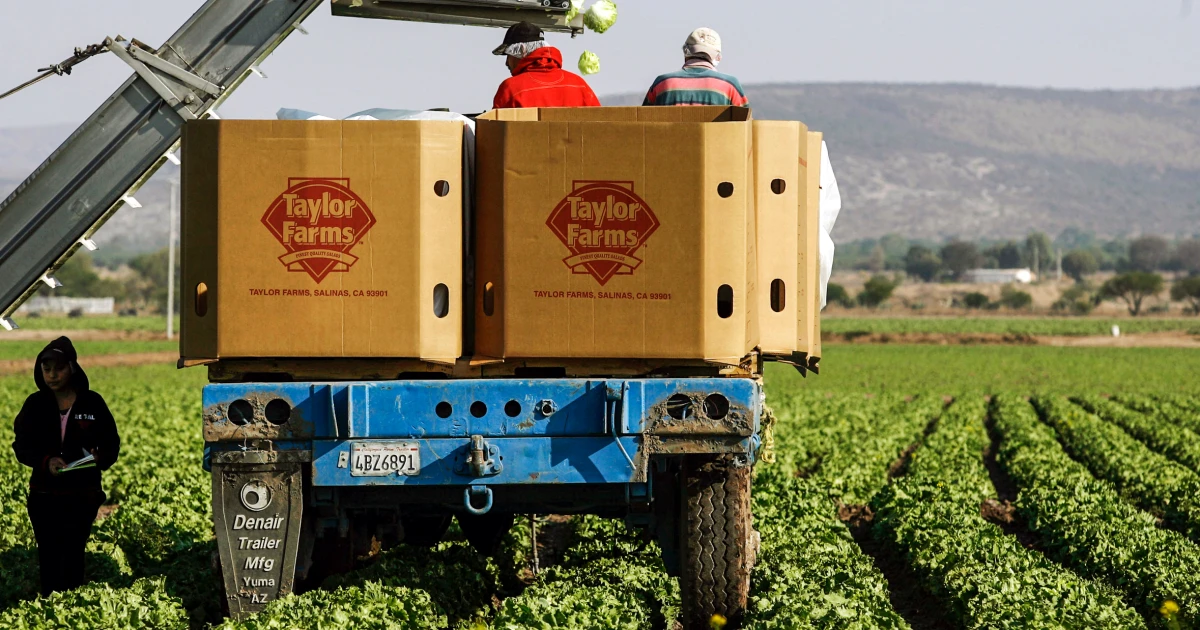 FDA retracts and says cyclosporiasis test for packaged lettuce brand was “false positive”