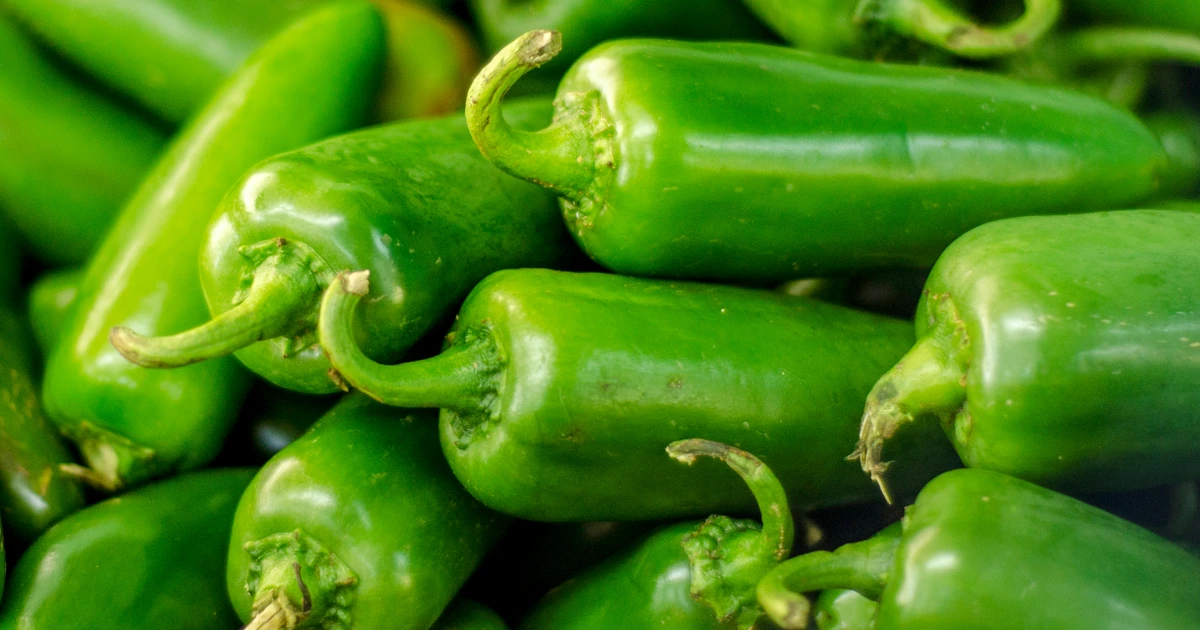 Outbreaks of cyclosporiasis and salmonella put Mexican agricultural products in the spotlight