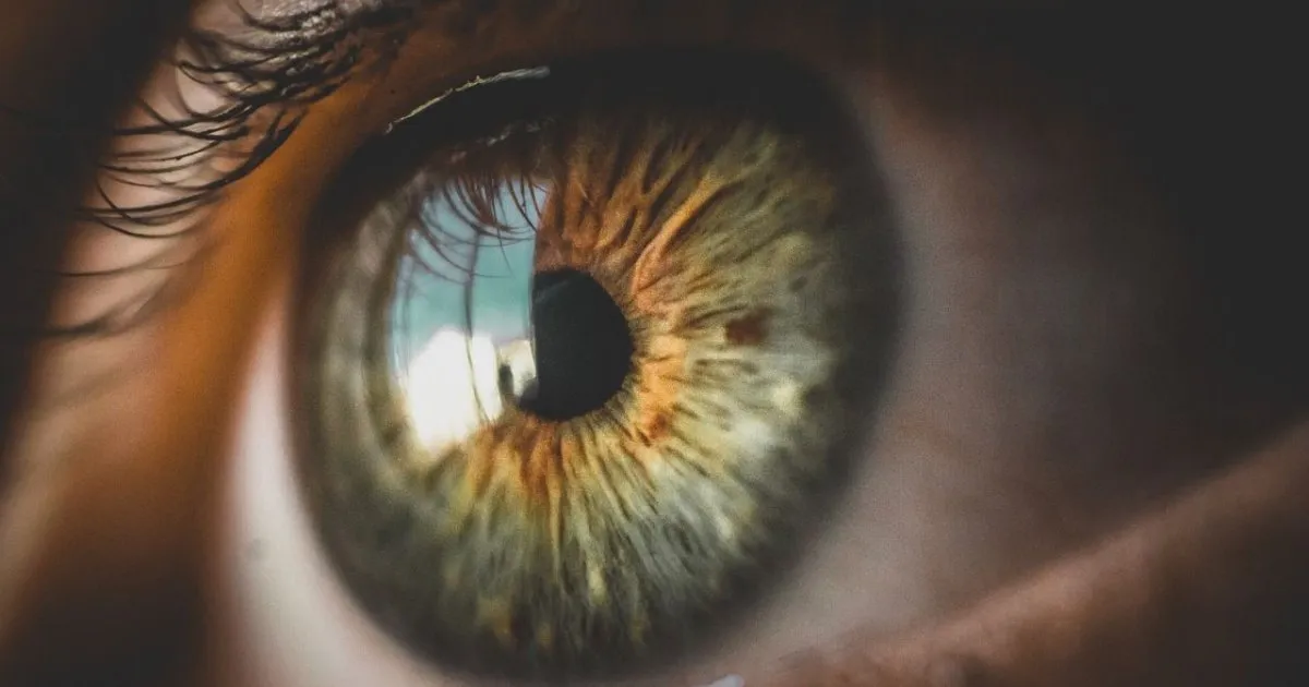 Heat accelerates the evaporation of the tear film and aggravates dry eyes