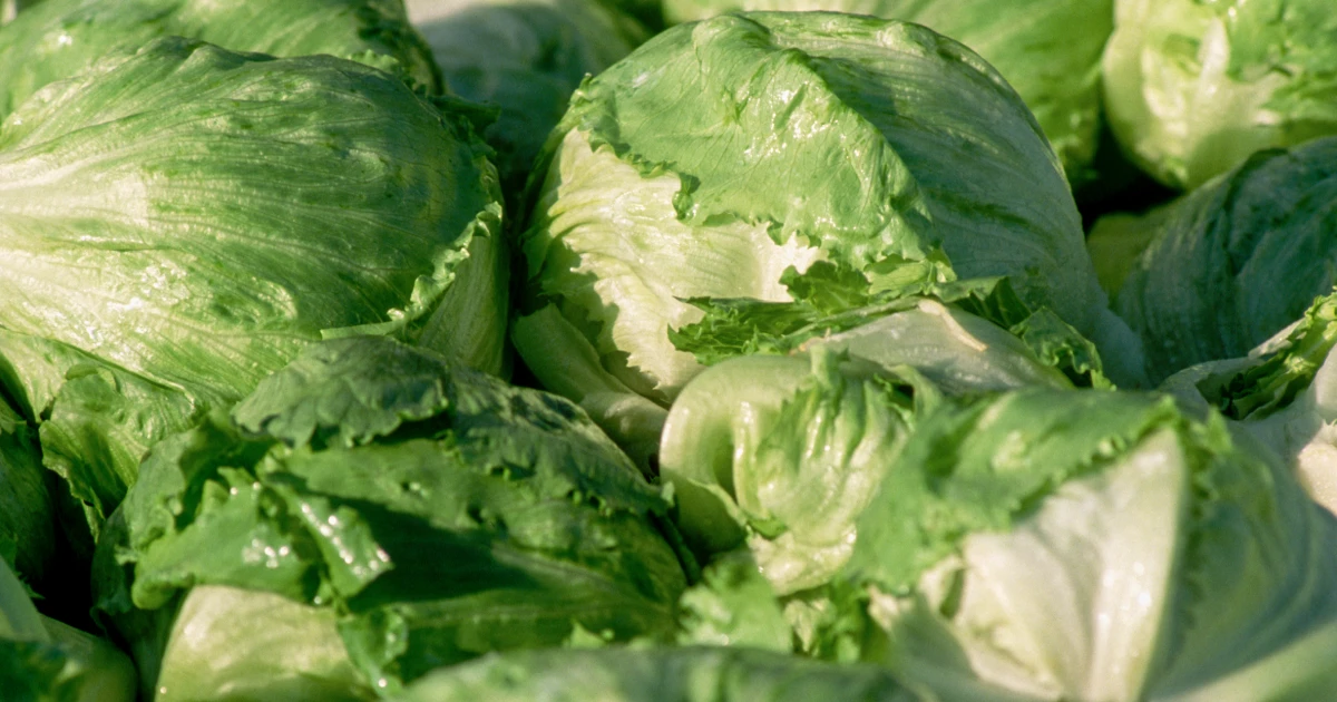 More people in the US have gotten sick this year from eating contaminated food. What is it due to?