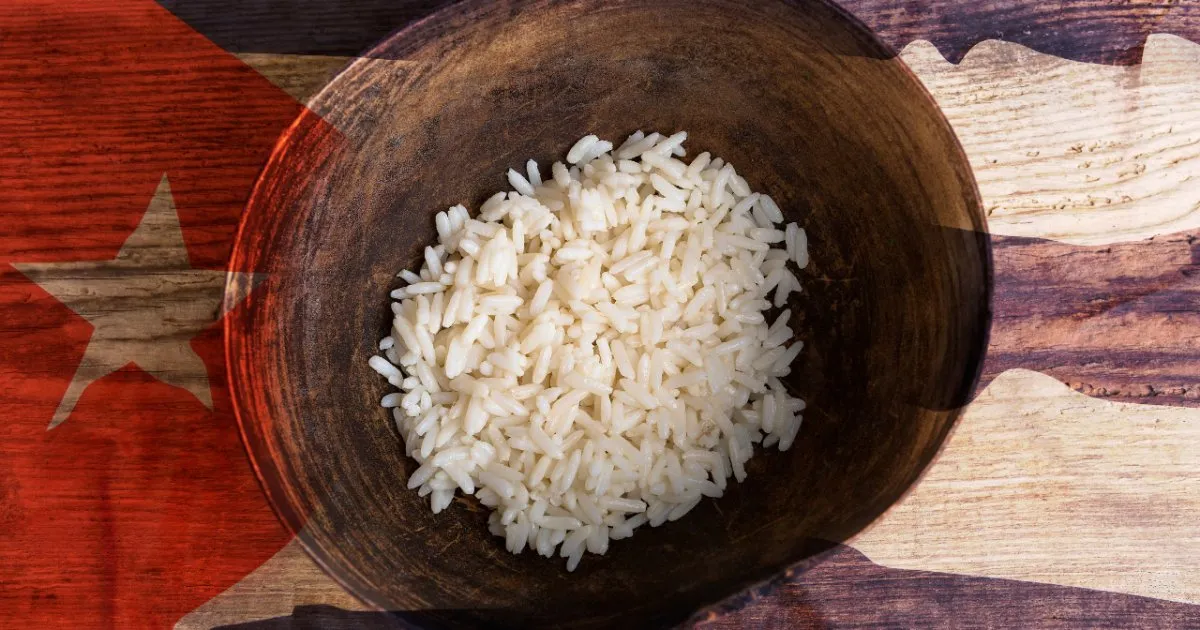 Private entrepreneurs believe that the hand of the State is behind scandalous food prices