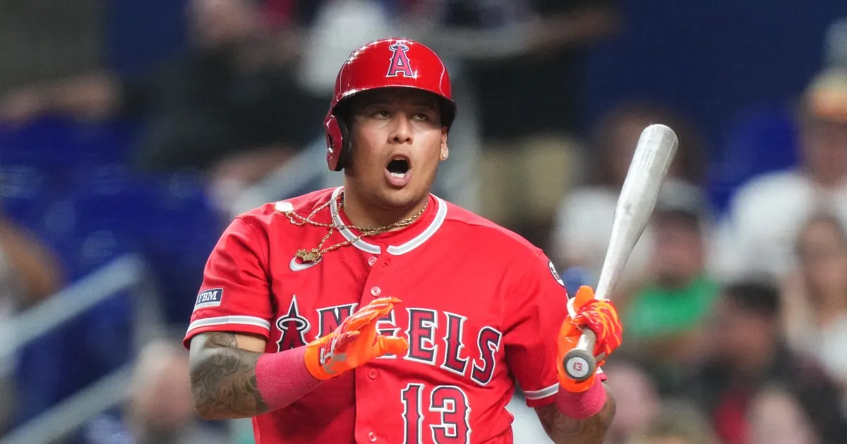 Venezuelan Grandeliga questions its participation with Leones del Caracas
