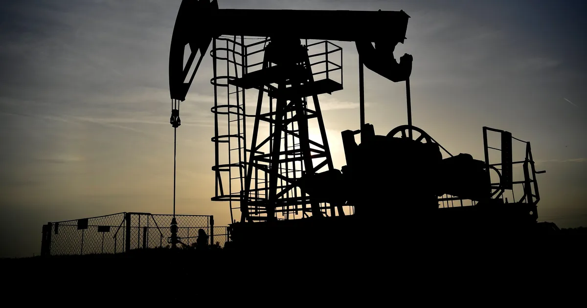 They ask Venezuela and the US to make known the conditions of the "historic" oil contract