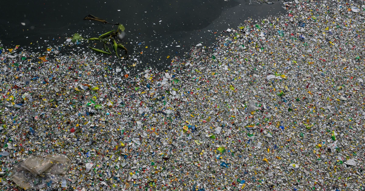 How exactly do microplastics harm the body? New research offers an answer